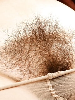 Ami Hairy Beavers Porn